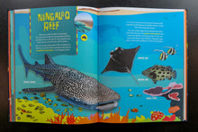 What’s Out There? Amazing plants, rocks, creatures and cultures that make Australia extraordinary