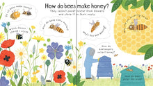 Lift-the-flap first questions and answers Why do we need Bees?