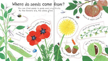 How do flowers grow? Lift-the-flap first questions and answers