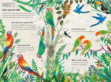 The Big Book of Birds