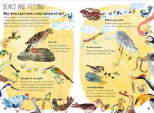 The Big Book of Birds